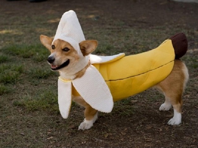 Banán?